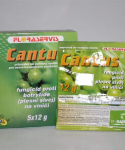 cantus