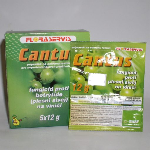 cantus