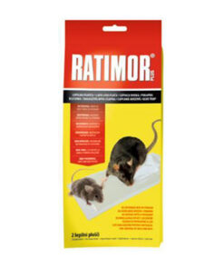 lepove pasce na mysi