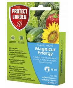 Magnicur Energy 15 ml