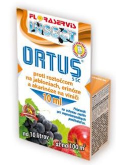 ortus